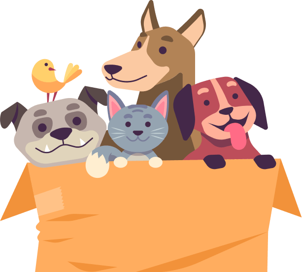 Cute animals in a box