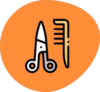 An illustration of scissors and a brush
